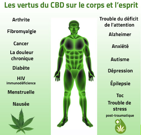 Huile de CBD : le secret bien-être que des milliers de personnes adoptent déjà - Huile CBD pas cher