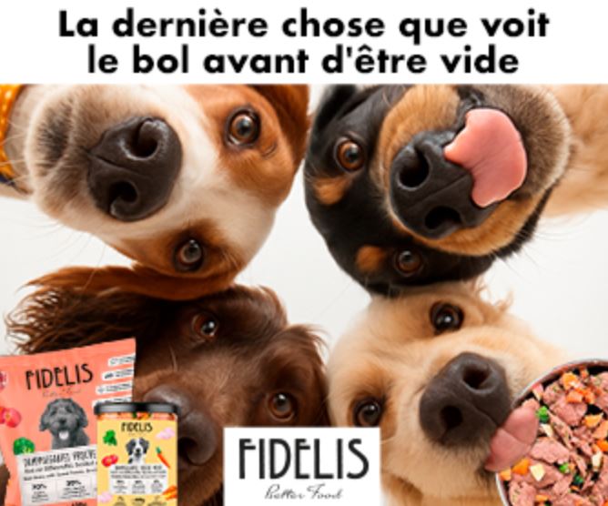 Alimentation fraîche pour chien : pourquoi passer à la ration cuite à la vapeur ?
